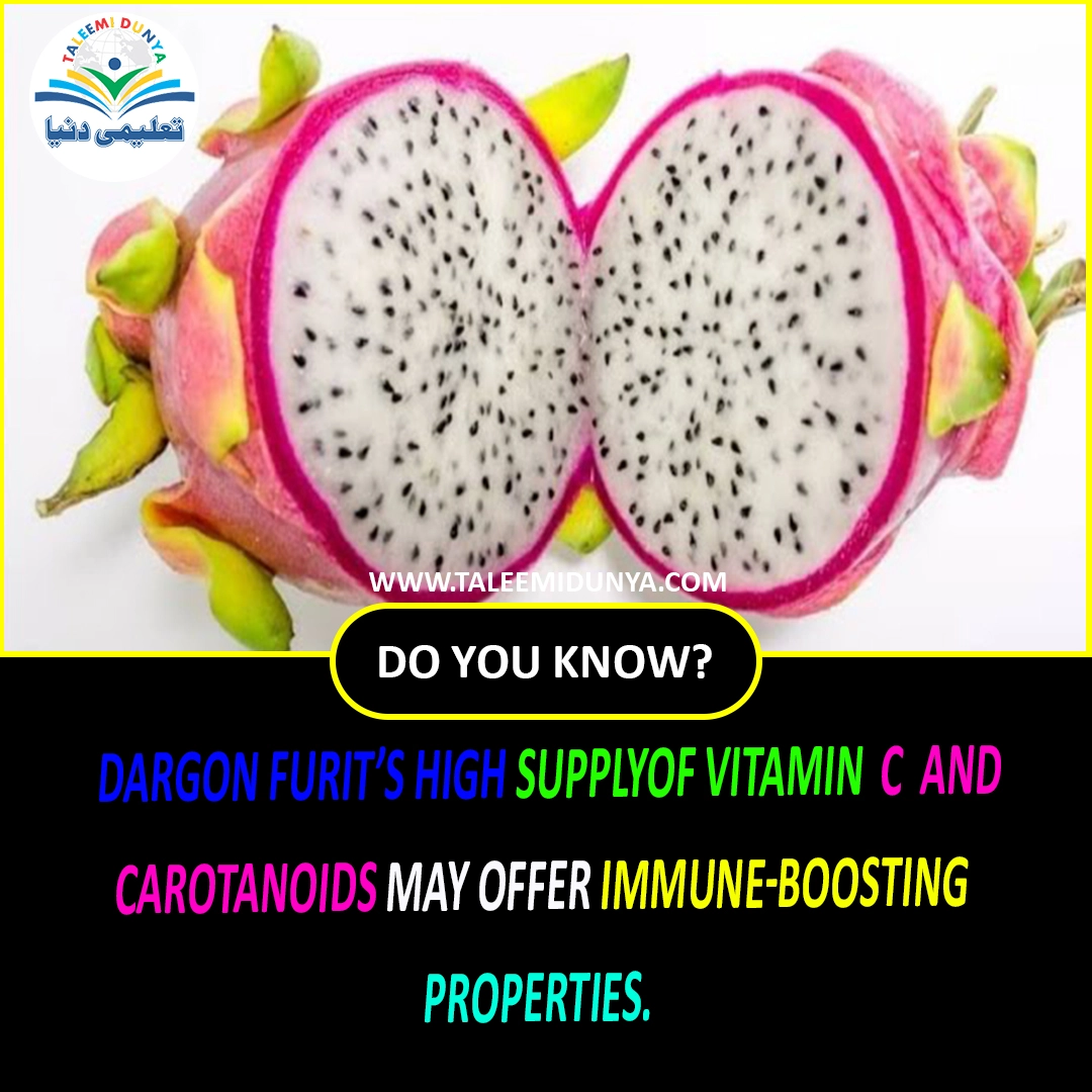 Dragon Fruit's